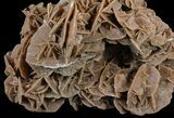 Desert (Selenite) Rose Formation - Sahara Desert #61227-2